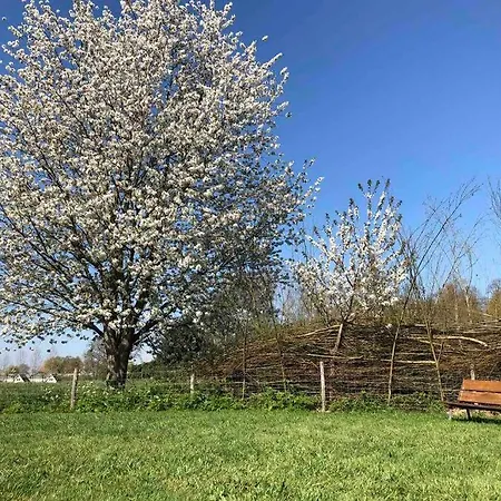 Holiday home Bij Tante Hanneke's Voorhuus, Met Hottub Optie *
