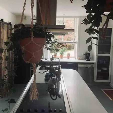 Holiday home Bij Tante Hanneke's Voorhuus, Met Hottub Optie Maasbommel